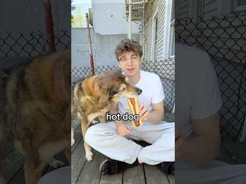 Make My Dog Happy Again 🥰 thumbnail