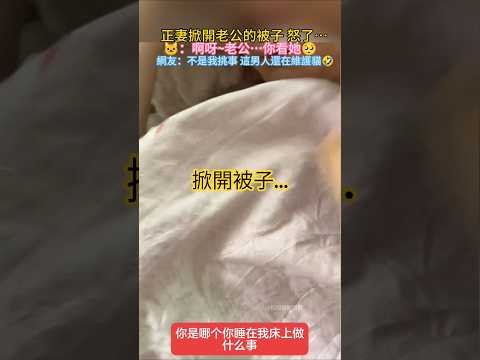 妻子掀開老公的被子 怒了💢 🐱：啊呀~老公…你看她！網友：不是我挑事，這男人還護著貓🤣 #cat #funny #cute #shorts #funnyshorts thumbnail