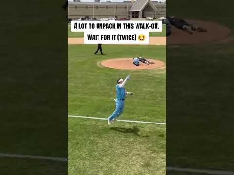 Wide range of human behavior in this walk-off ⚾️😆 #shorts thumbnail