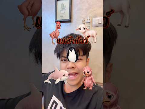 หนังหุ้มตัวไก่จ๋า thumbnail
