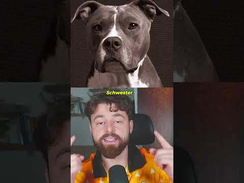 Kinder, die heldenhafte Taten gemacht haben thumbnail