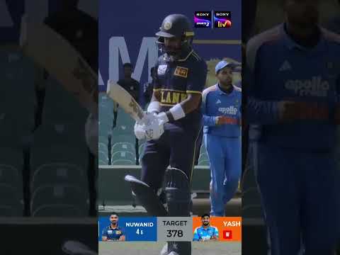TIMBER! 💥🏏 thumbnail