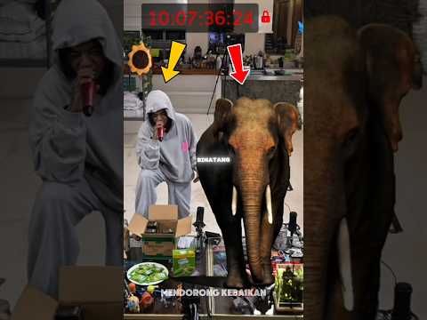 Marapthon Berubah Menjadi Kebun Binatang #marapthon thumbnail