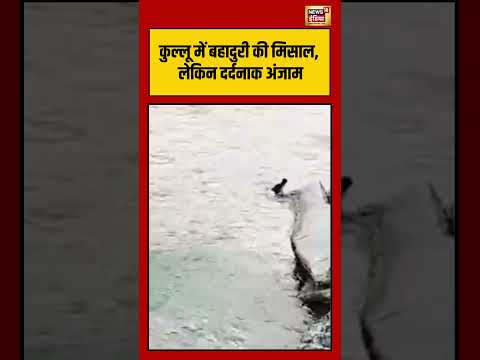 कुल्लू में बहादुरी की मिसाल, लेकिन दर्दनाक अंजाम | #viralnews #hindinews #shortvideo  #shorts thumbnail