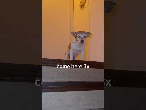 Asya is the reason I’m always late thumbnail