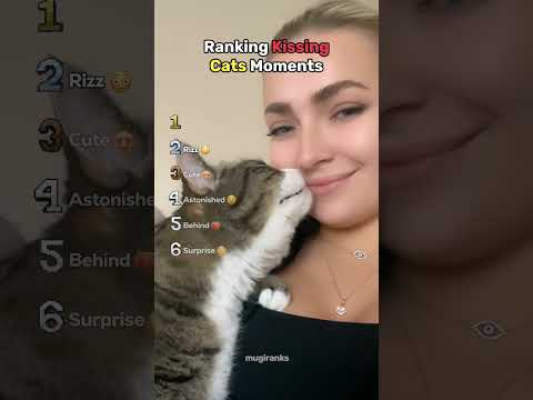 Ranking Best Kissing Cats Moments thumbnail