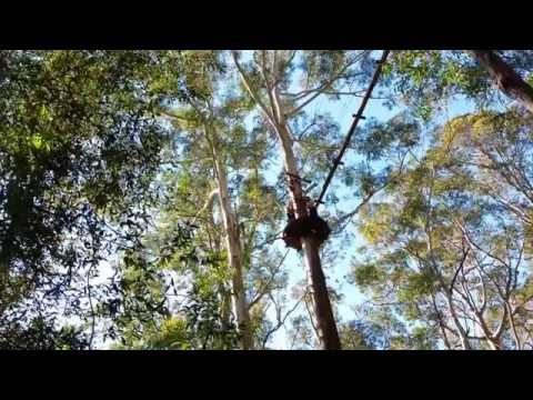 Treetop Adventure Park thumbnail