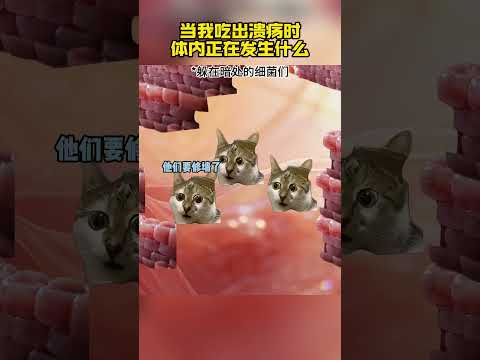 放点盐让他知道谁是这身体的主人#猫meme #猫meme小剧场 #口腔溃疡 #内容过于真实 thumbnail