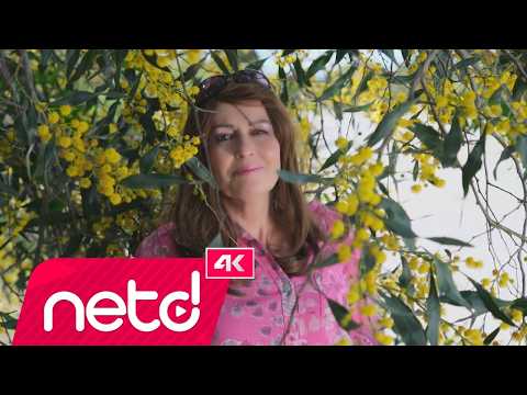 Hanife Aydı - Geldik Gidiyoruz thumbnail