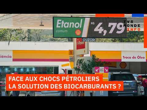Économie : Face aux chocs pétroliers, les biocarburants gagnent du terrain thumbnail