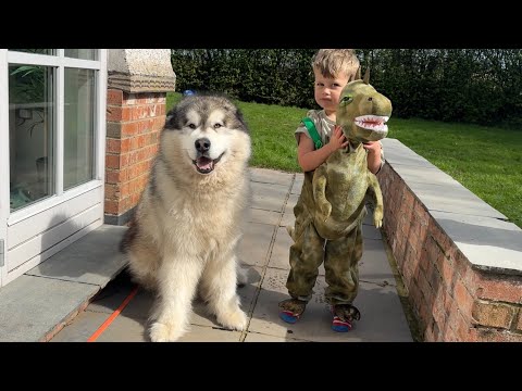 Adorable Baby Boy Scares His Dog With Dinosaur Costume (Cutest Ever!!) thumbnail