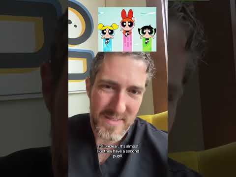 Ophthalmologist Assesses the Visual Function of Cartoon Characters | Part 2 thumbnail