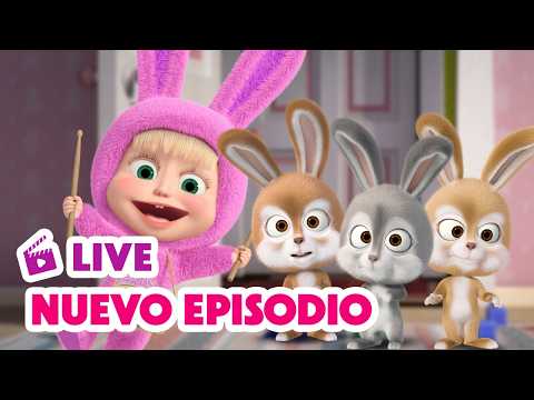 🔴 EN VIVO TV 📺 Masha y el Oso Castellano 🐻NUEVO EPISODIO🌟 Masha sabe lo que te conviene 🐰🍼 thumbnail