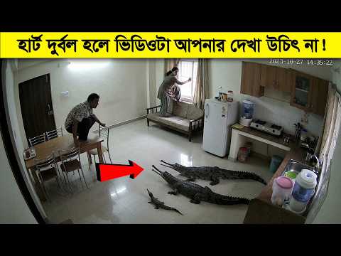 নিজ দায়িত্বে দেখবেন - বাসার সিসি ক্যামেরাতে সবার সামনে থেকে যা রেকর্ড হয়ে গেল... thumbnail