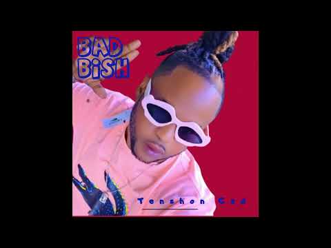 Tenshon Gad - Bad Bish [Audio Visualizer] thumbnail