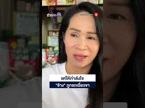 แห่ให้กำลังใจ "ช้าง" ถูกรถเฉี่ยวขา thumbnail