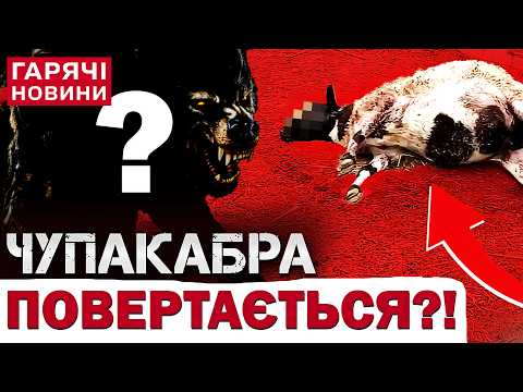 ЧУПАКАБРА ПОВЕРНУЛАСЯ?! Куди зникав легендарний монстр і що він накоїв зараз? thumbnail
