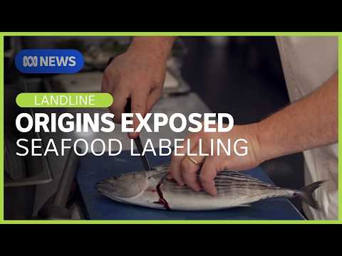 Truth on the Table: Australian Seafood Labelling Shake-Up | Landline | ABC News thumbnail