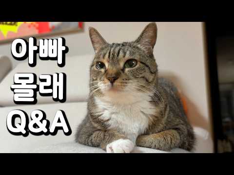 우리집 넷째 계획은요... thumbnail