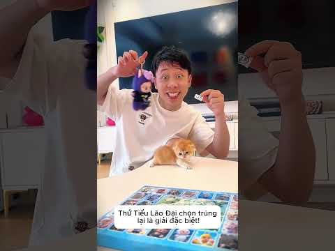 Mèo Con Quậy Phá Khu Vui Chơi Khổng Lồ! 😻🎡 thumbnail