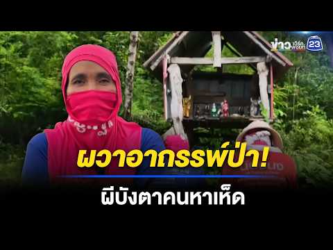 ผวาอาถรรพ์ป่า! สองแม่ลูกหาเห็ดหลงทิศวนเวียนอยู่ที่เดิม l ข่าวเที่ยงเวิร์คพอยท์ l 21 พ.ค. 69 thumbnail
