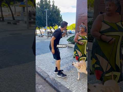 Se o seu cachorro obedecer a 3 comandos você ganha R$500 thumbnail