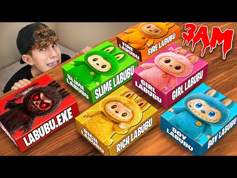 ÖFFNE NIEMALS MYSTERY LABUBU BOXEN um 3 UHR!! thumbnail