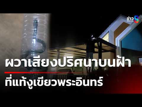 ผวาเสียงปริศนาบนฝ้า ที่แท้งูเขียวพระอินทร์ | 28 พ.ค. 69 | คุยข่าวเช้าช่อง8 thumbnail