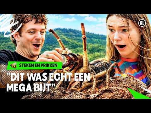 GEBETEN WORDEN DOOR EEN CAMELSPIN MET KREEFTKAKEN?! 🦞🕷️| Steken en Prikken | S6 #1 | NPO Zapp thumbnail