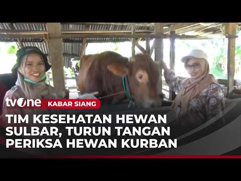 Puluhan Hewan Kurban Jalani Pemeriksaan Kesehatan Jelang Idul Adha | Kabar Siang thumbnail