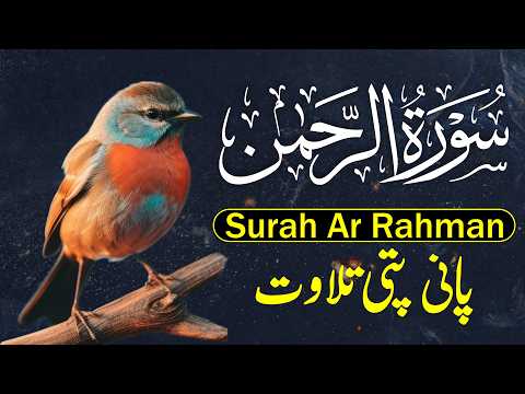 Surah Ar-Rahman Full Panipati Voice [سورۃ الرحمن] Surah Al Rahman Beautiful Quran Tilawat thumbnail