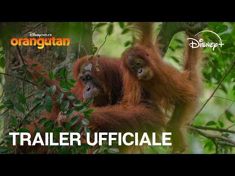 Orango | Trailer Ufficiale | Dal 22 Aprile su Disney+ thumbnail