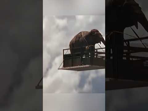 🐘 ทหารเสี่ยงชีวิตกลางอากาศ เพื่อช่วยช้างที่กำลังตกจากฟ้า! 😱✈️#trendingshorts thumbnail