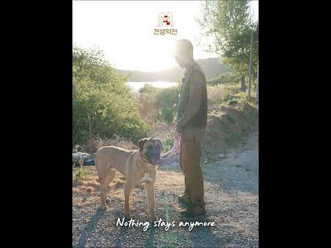 Nothing stays anymore thumbnail