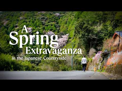 A Spring Extravaganza in Japan's Countryside: Birdwatching, Sakura Mochi & Wild Mountain Veg! thumbnail