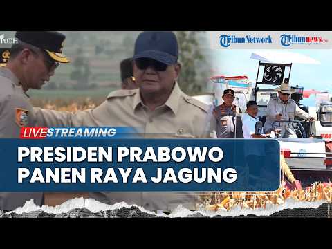 ?LIVE: Panen Raya Jagung Serentak dan Groundbreaking 10 Gudang Ketahanan Pangan Polri thumbnail