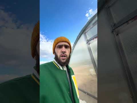 Курятник из теплицы thumbnail