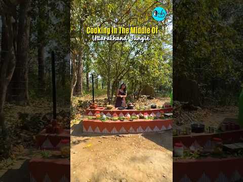 Cooking In The Middle of Uttarakhand Jungle! #uttarakhand #cooking #jungle thumbnail