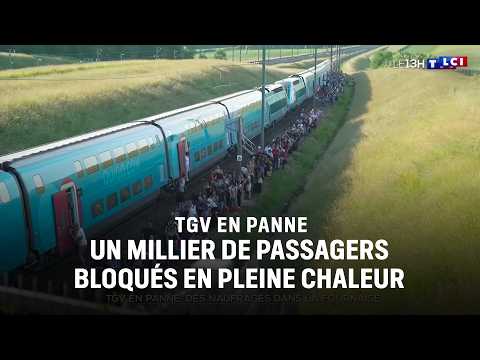 Deux TGV en panne : un millier de voyageurs bloqués en pleine chaleur ｜TF1 INFO thumbnail