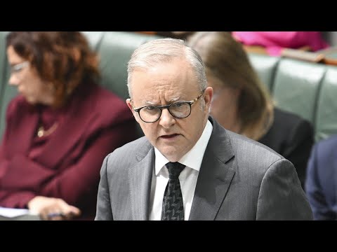 Albanese accused of ‘lying’ to the Australian people about CGT and negative gearing thumbnail