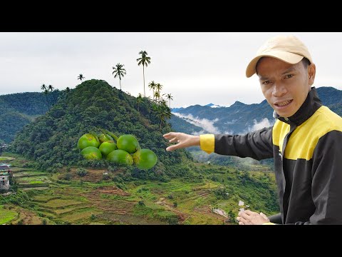 This Strange Fruit is so Addictive thumbnail
