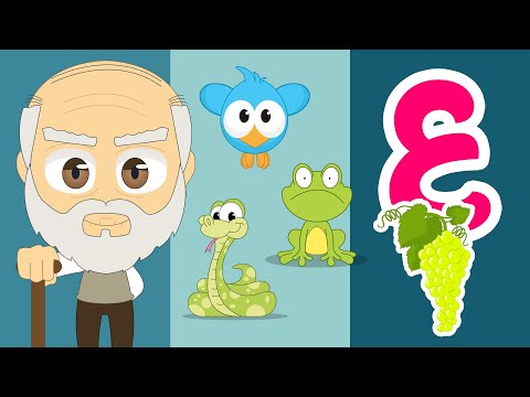 حرف العين للأطفال (ع) | عِ عِنَب - برنامج الحروف العربية للأطفال مع زكريا thumbnail