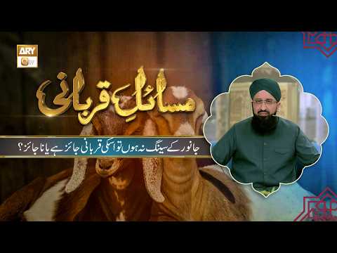 Janwar ke Seeng Na Hon To Us ki Qurbani Jaiz Hai Ya Na Jaiz? | Mufti Muhammad Sohail thumbnail