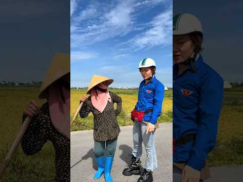 Hôm nay có chương trình không được phơi lúa ngoài đường thumbnail