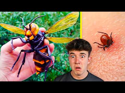 LOS 10 INSECTOS MAS PELIGROSOS del MUNDO *NO LOS TOQUES* thumbnail