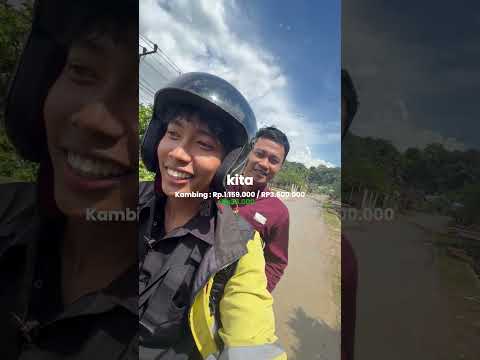 Disuruh pulang mamak karna gapulang 2 bulan :), H-2 lebaran Mau supriesin orang dirumah pake kambin thumbnail