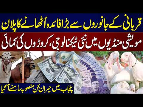 Punjab to Earn Millions from Manure in Cattle Markets | Biogas & Carbon Credit Project Explained thumbnail