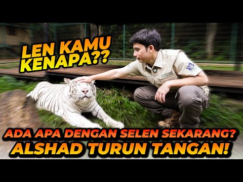 SELEN GA MOOD HARI INI! SUSAH DIATUR DAN SENSITIF BANGET! BEGINI CARA MENANGANINYA! thumbnail