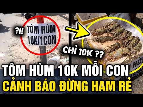 Tưởng NHÌN LỘN khi thấy bảng tôm hùm 10K 1 CON nhưng dân mạng khẳng định ĂN KO ĐƯỢC | Tin 3 Phút thumbnail
