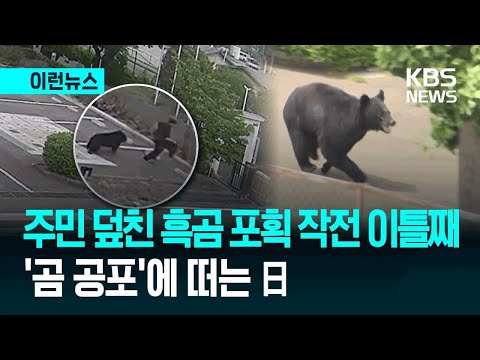 [이런뉴스] 日, 주민 4명 덮치고 달아난 흑곰…“이틀째 대치중” / KBS 2026.06.03. thumbnail